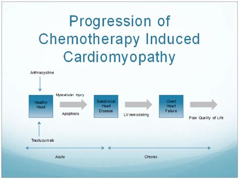 lv function treatment impacts-pediatric cancer abbreviated|cancer induced Lv dysfunction.